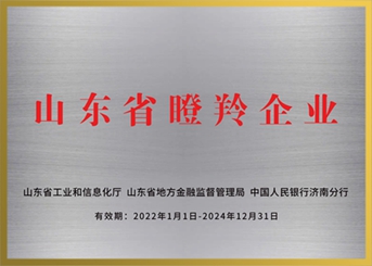 山東省瞪羚企業(yè)