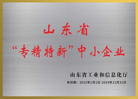 山東省工業和信息化廳 關于公布2022年度山東省“專精特新”中小企業的通知